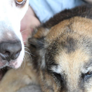 Meet your Posher, Vicki